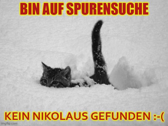 CatMeme, Weihnachten, Schnee - Kätzchen bis zur Nasenspitze im Schnee verschwunden: "Bin auf Spurensuche. Kein Nikolaus gefunden" traurig