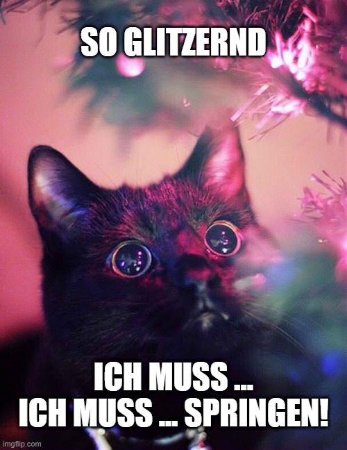 Catmeme, Weihnachten. Kleine schwarze Katze schaut mit übergroßen Augen in den Weihnachtbaum. Auf ihren Augen spiegeln sich die glänzenden Lichter. "So glitzernd. Ich muss ... ich muss ... springen!"
